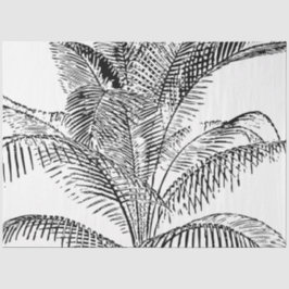 Papel De Seda Palm Tree deixa Abstrato preto e branco