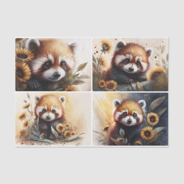 Papel De Seda Pandas Vermelhas (Frente )