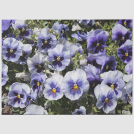 Papel De Seda Pansies Roxas