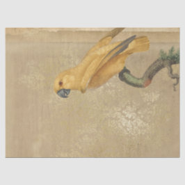 Papel De Seda Papagaio Amarelo em Tan e Dourada Decoupage