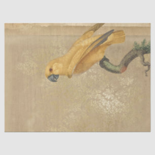 Papel De Seda Papagaio Amarelo em Tan e Dourada Decoupage