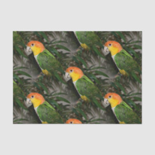 Papel De Seda Papagaio Caique Branco com Árvore Bamboo