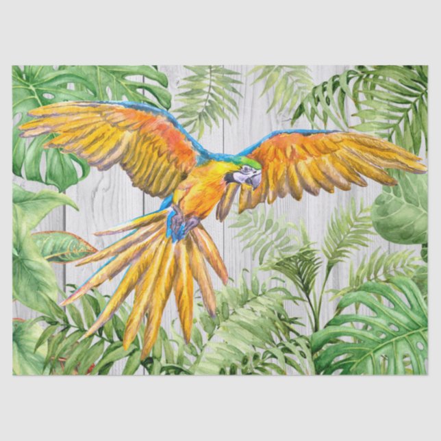 Papel De Seda Papagaio Laranja Dourado Azul Tropical Cor da Água (Frente )