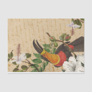 Papel De Seda Papagaio Tropical Antigo