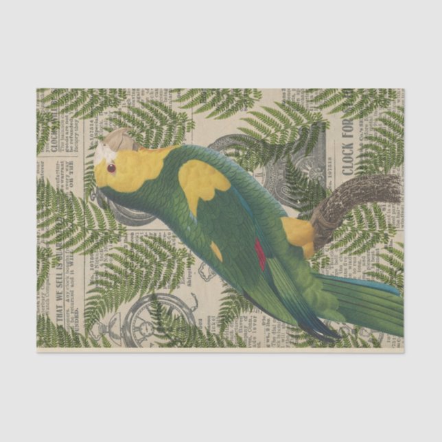Papel De Seda Papagaio Tropical Verde Vintage (Frente )