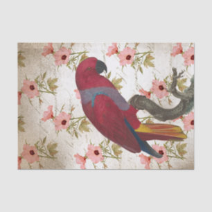 Papel De Seda Papagaio Vermelho Floral