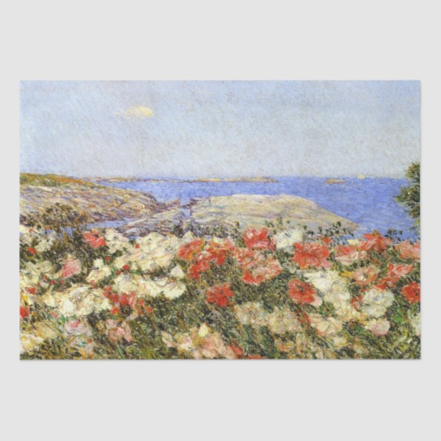 Papel De Seda Papagaios selvagens nas ilhas dos calçados (Frente )