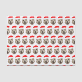 Papel De Seda Papai noel Buddy