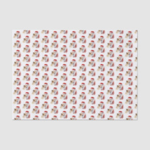 Papel De Seda Papais noeis e Sheltie