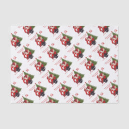 Papel De Seda Papais noeis Karl Marx