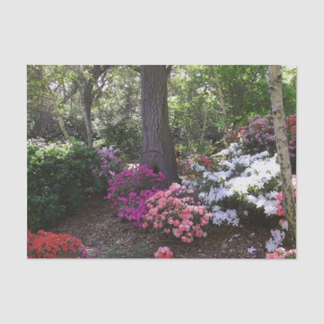 Papel De Seda Papel-chave Floresta e Flores (Frente )