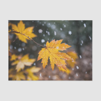 Papel De Seda "Papel de Tecido Padrão Elegante"