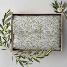 Papelaria Botânica de Galho de Oliveira Verde Sage