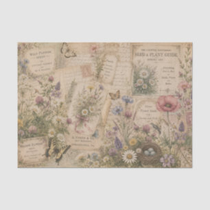 Papel De Seda Papelarias de Sementes de Flores Silvestres de Pra
