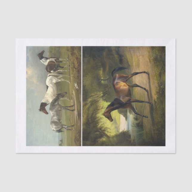 Papel De Seda Par de Pinturas de Cavalo Genuíno (não AI) (Frente )