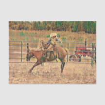 Papel de seda para cavalgada country cowboy ociden