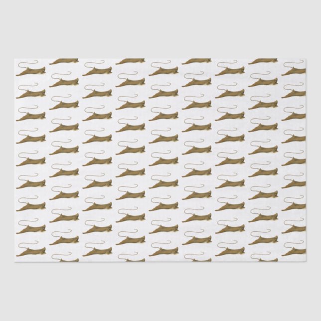 Papel de seda para desenho de Stingray vintage (Frente )