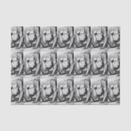 Papel De Seda Para Ele Ajustado Bonitão Masculino Bodybuilder Es