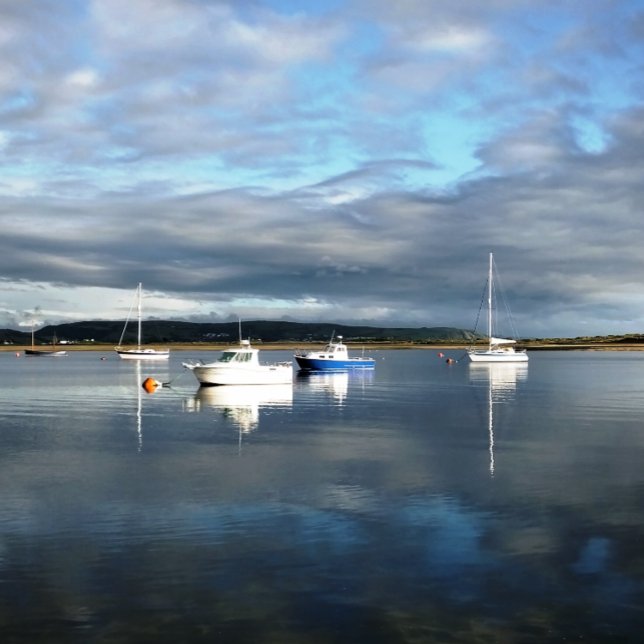 PAPEL DE SEDA PAREDES (Criador carregado)