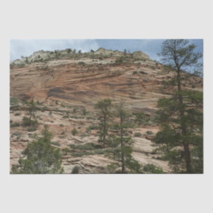 Papel De Seda Paredes de Rocha Desgastadas no Parque Nacional Zi
