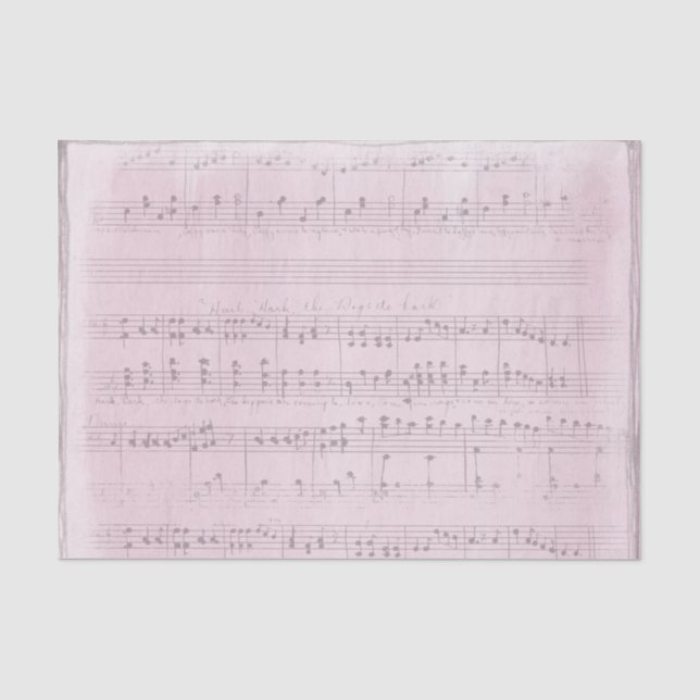 Papel De Seda Partitura em um Fundo Rosa Suave (Frente )