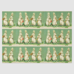 PAPEL DE SEDA PÁSCOA COELHO BRANCO ORQUESTRA FAZER