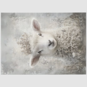Papel De Seda Páscoa de Lamas Brancas de Domingo Ornamentado Co