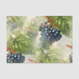 Papel De Seda Passagem de Uvas Roxas em Névoa