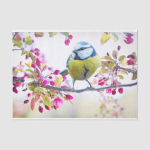 Papel De Seda Pássaro Azul e Amarelo bonito em uma Fotografia d
