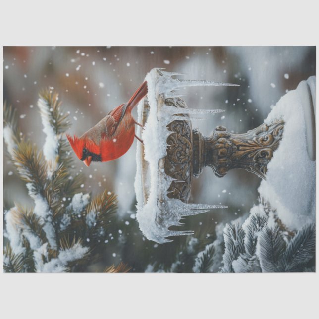 Papel De Seda Pássaro Cardinal Vermelho em um Decoupage de Banho (Frente )