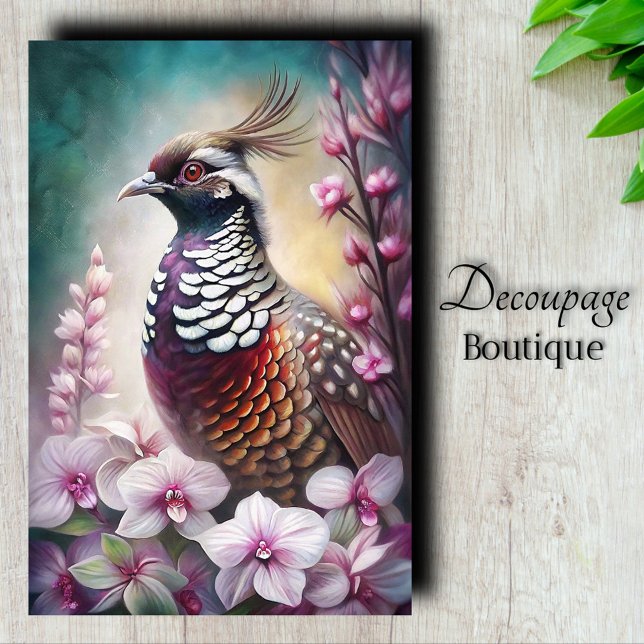 Papel De Seda Pássaro Codorna Príncipe Orquídea Decoupage (Orchid Prince Quail Bird Decoupage Tissue Paper)
