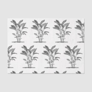 Papel De Seda Pássaro da Decoupage da Planta de Paraíso