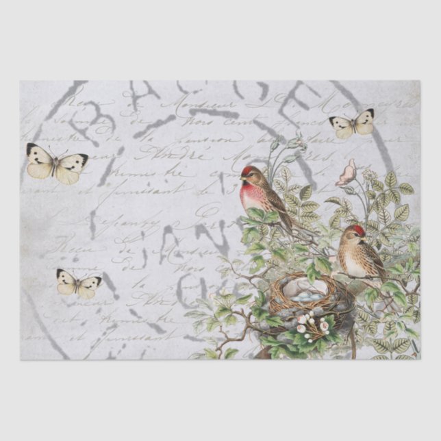 Papel De Seda Pássaro Nest Pótulo Borboleta Francês Script Azul  (Frente )