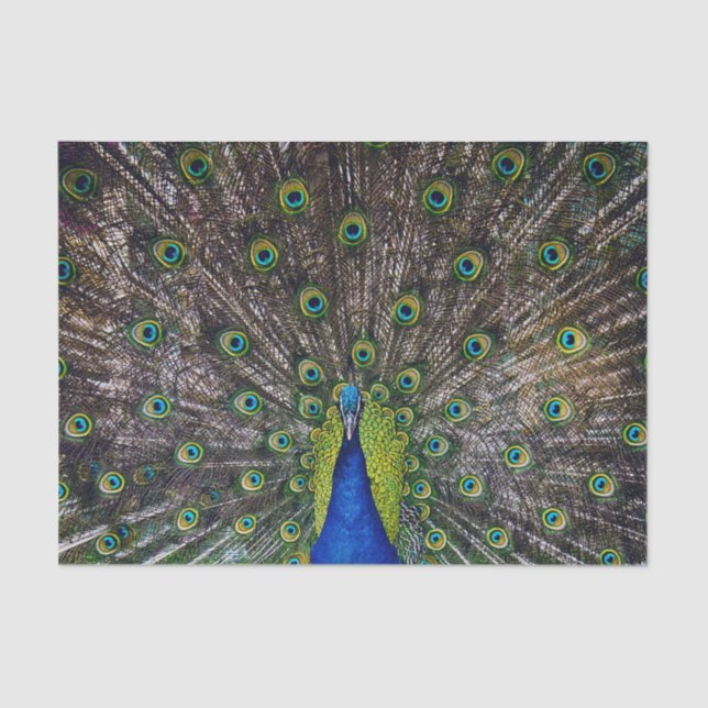 Papel De Seda Pássaro Peacock bonito (Frente )