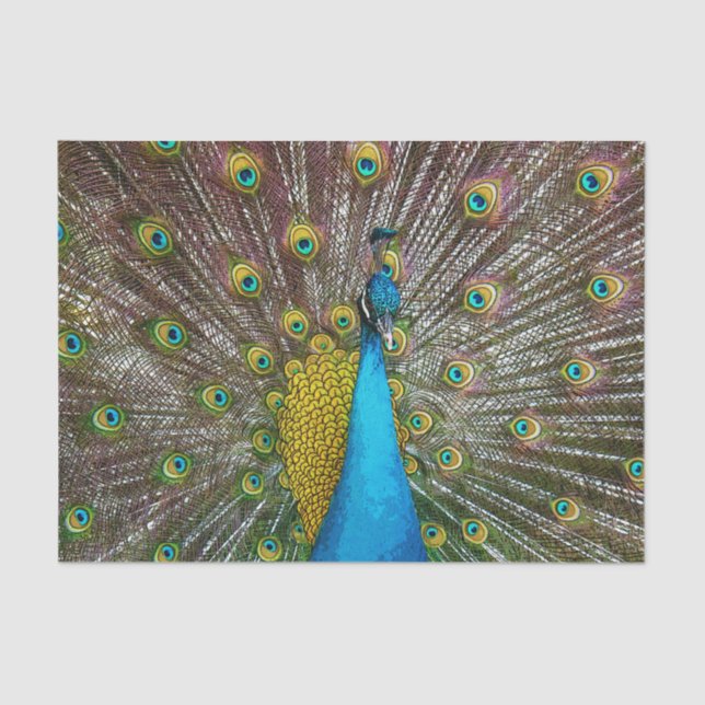 Papel De Seda Pássaro Peacock Regal com Plumagem Dourada e Teal (Frente )