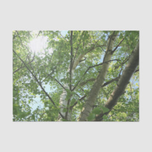 Papel De Seda pássaro verde na árvore contra o céu azul