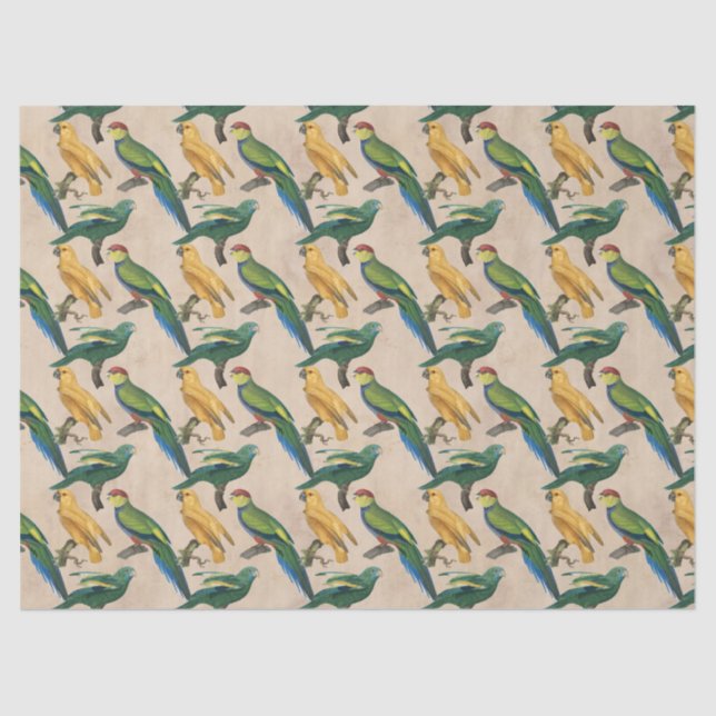 Papel De Seda Pássaros Amarelos e Verdes na Decoupage do Tom (Frente )