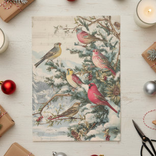 Papel De Seda Pássaros de Natal Antigos de Inverno