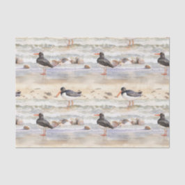 Papel De Seda Pássaros de Praia Costeira