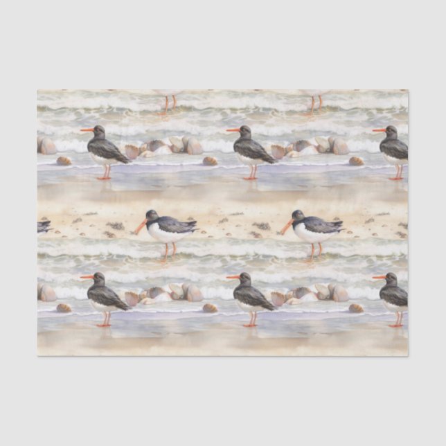 Papel De Seda Pássaros de Praia Costeira (Frente )