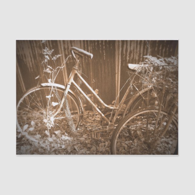 Papel De Seda Passeio esquecido (Frente )