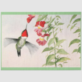 Papel De Seda pastel de beija-flor com garganta