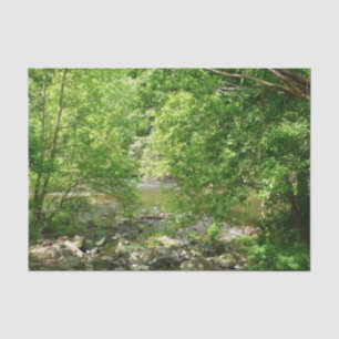 Papel De Seda Patapsco River View Maryland - Fotografia Natural
