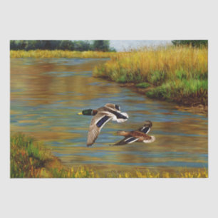 Papel De Seda Patos-reais Patos voadores