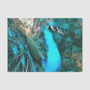Papel De Seda Pavão Azul Vibrante Dentro Com Cauda Vibrada