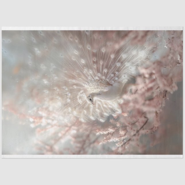 Papel De Seda Pavão Branco Celesial com Dissociação Rosa Bloquea (Frente )