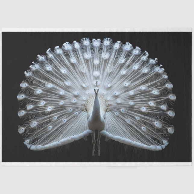 Papel De Seda Pavão de Cauda Branca Decoupagem (Frente )