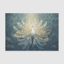 Pavão em Bloom, Penas Brancas, Elegância