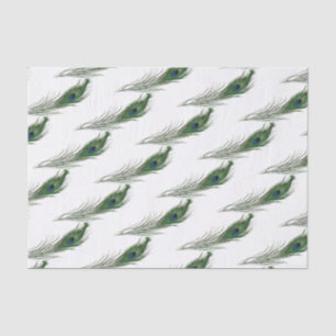 Papel De Seda Pavock Feather Patternado Temas