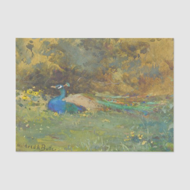 Papel De Seda Peacock em um jardim por Mildred Anne Butler (Frente )
